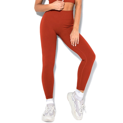 Women's High Waist Yoga Pants
