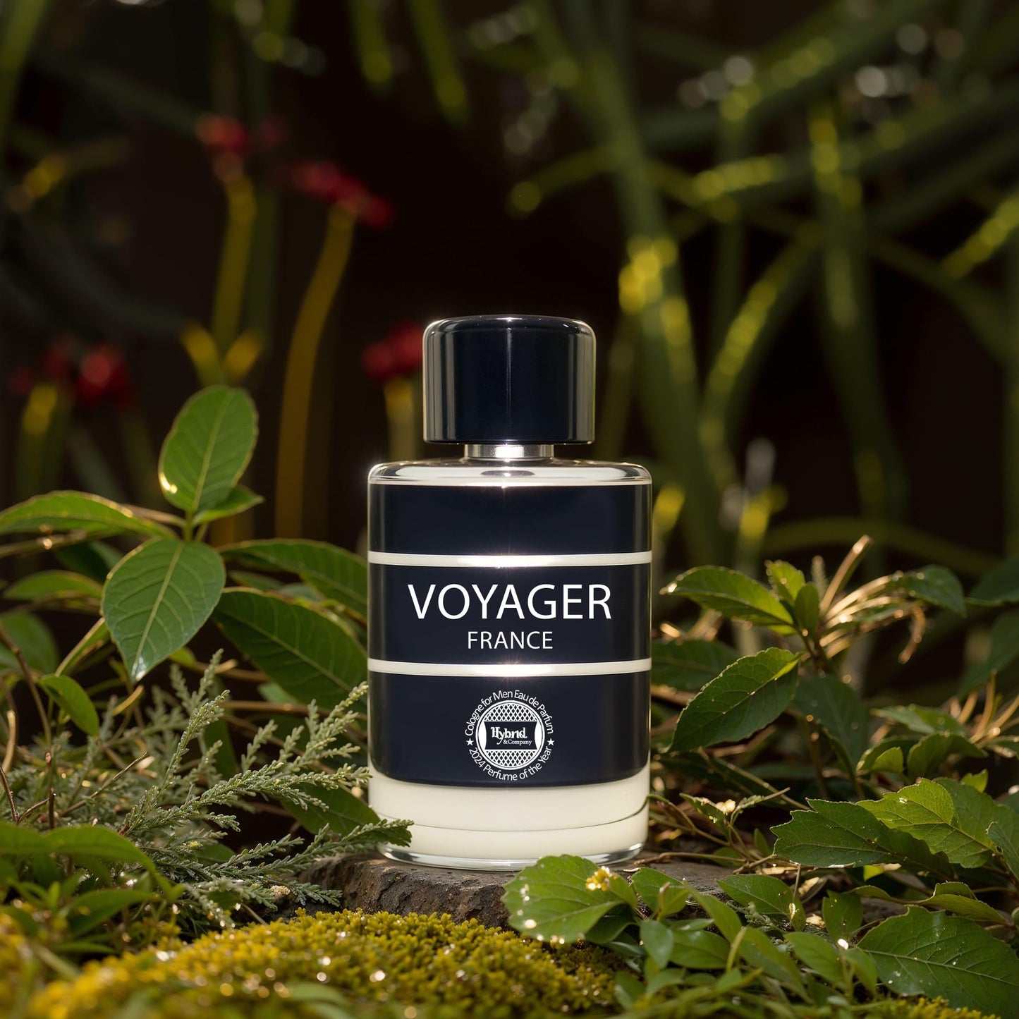 Voyager France For Men Eau De Parfum Vaporisateur Natural Spray 3.4 Fl Oz